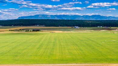 DJI_0532