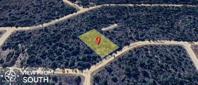 0 Jackson Rd unit 776995, Marianna, FL 32448 - photo 2