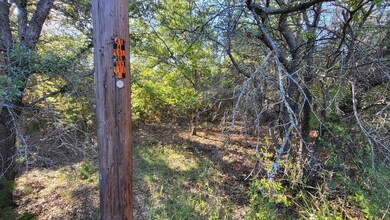 21029 Trailwood Dr, Whitney, TX 76692 - photo 3