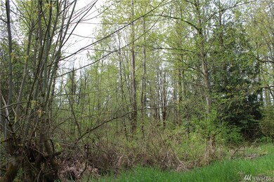 unlisted-address, Graham, WA 98338 - photo 6