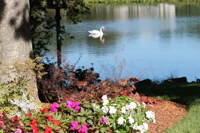 10 Deer Path, Aquinnah, MA 02535 - photo 3