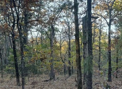 TBD Bengal Rd, Talihina, OK 74571 - photo 7