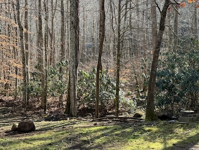 80 Larkspur Ln, Cullowhee, NC 28723 - photo 4