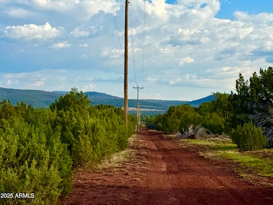 180 Co Rd 3148 Lot #1 2 1 Acres --, Vernon, AZ 85940 - photo 2