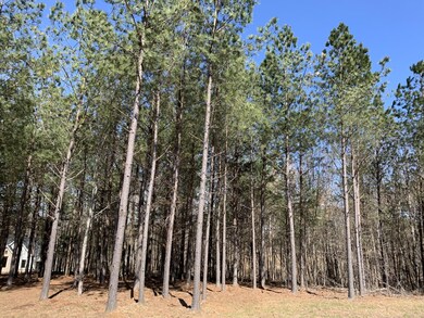 5140 Crockett Point, Jasper, TN 37347 - photo 6