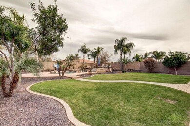 6 Backyard