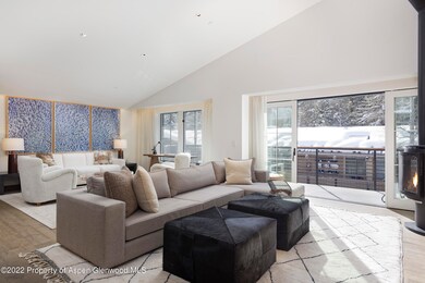 550 S Spring St unit 392, Aspen, CO 81611 - photo 2