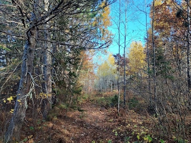 0 Burrows Lake Rd, Little Rice, WI 54487 - photo 7