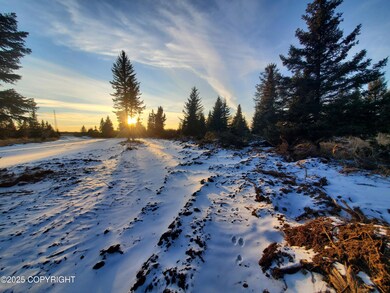 17573 Chefornak St, Happy Valley, AK 99639 - photo 5