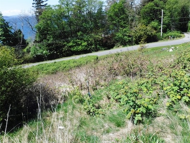 0 Taft Dr, Lummi Island, WA 98262 - photo 2