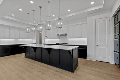 Kitchen with a raised ceiling, under cabinet rang