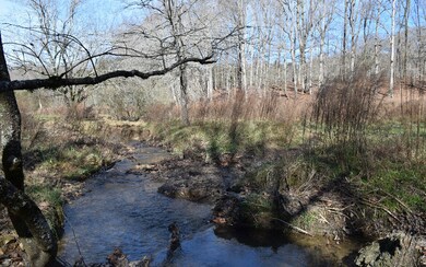 Additional View