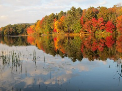 Megunticook River 10-2021 004