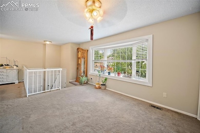 4202 Halstead Cir, Colorado Springs, CO 80916 - photo 7