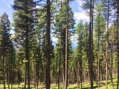 723 Wolverine Dr, Seeley Lake, MT 59868 - photo 2