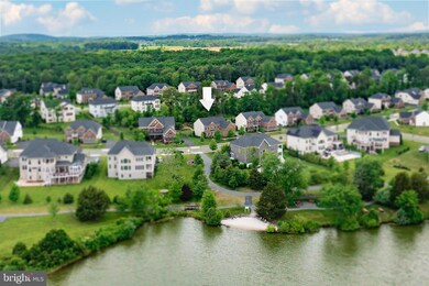 41656 Revival Dr, Ashburn, VA 20148 - photo 7