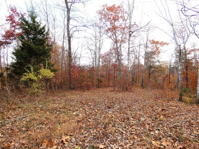 Lot 24 Restful Run Rd, Nancy, KY 42544 - photo 6