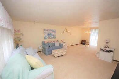 Living Room - Dining Room