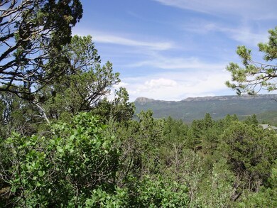 Fisher's Peak views