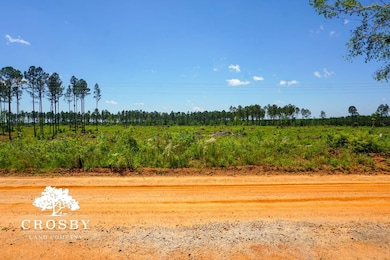 0 W Quaker Rd unit 25649767, Keysville, GA 30816 - photo 7