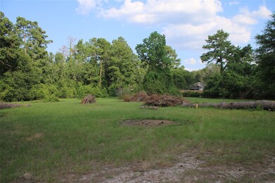 218 Dogwood Trail, Magnolia, TX 77354 - photo 2