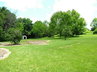 Yard/Garden Spacious yard