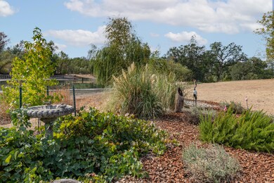 Botanical Garden