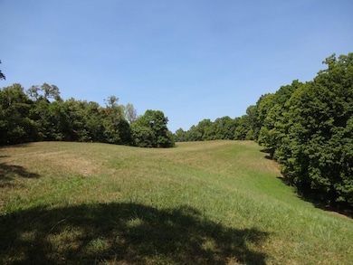 0 Blown Timber Rd, Newton, WV 25266 - photo 4