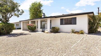Easy care yard