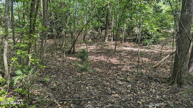 20240628041837515571000000-o