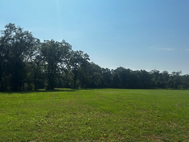 0 Willie Varnum Rd, Dothan, AL 36301 - photo 6