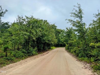 00 Flaming Star Dr, Pine Forest, NC 28356 - photo 3