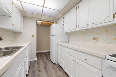 5300 Walnut Ave unit 12B, Downers Grove, IL 60515 - photo 7