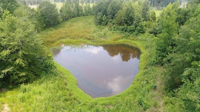 Old Meriwether Trail, Highland Home, AL 36041 - photo 3