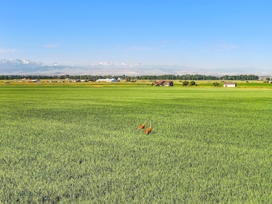 TBD Penwell Bridge Rd, Belgrade, MT 59714 - photo 6