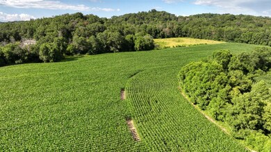 0 Hammer Rd, Sparta, WI 54656 - photo 5