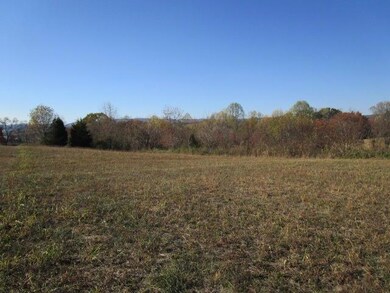 0 Kenneth Roach Ln unit 1052709, Rutledge, TN 37861 - photo 4