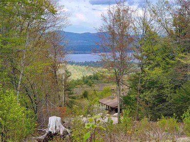 62 Knox Mountain Rd unit map 75 lot 43, Ossipee, NH 03814 - photo 6