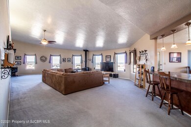 14 Road 3773, Farmington, NM 87401 - photo 7