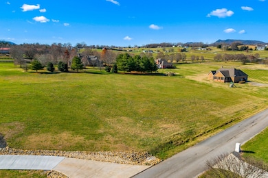 Lot 66 River Dr, Blaine, TN 37709 - photo 5