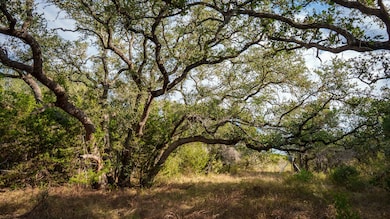 28084 Delafield Dr, New Braunfels, TX 78132 - photo 6