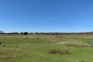 Property has nice gentle roll North of Mabank