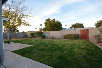 lawn1