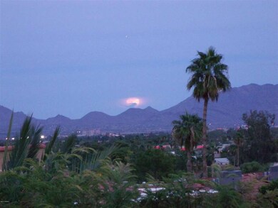 actual views off the patio
