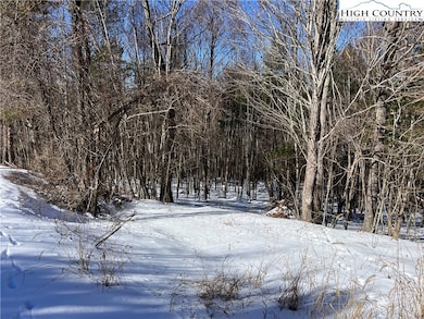 TBD (13 & 14) Timberwilde Dr, Laurel Springs, NC 28644 - photo 2