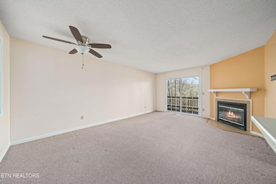 281 Moytoy Rd unit 105, Crab Orchard, TN 37723 - photo 3