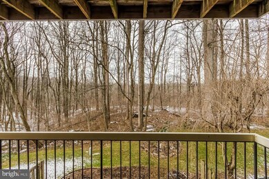 11898 Blue February Way, Columbia, MD 21044 - photo 6