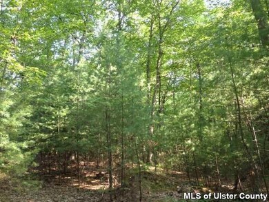 TBD Kripplebush Rd, Marbletown, NY 12404 - photo 7