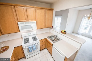 11333 Westbrook Mill Ln unit 301, Fairfax, VA 22030 - photo 3