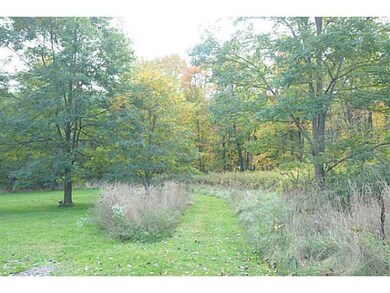 Yard/Garden